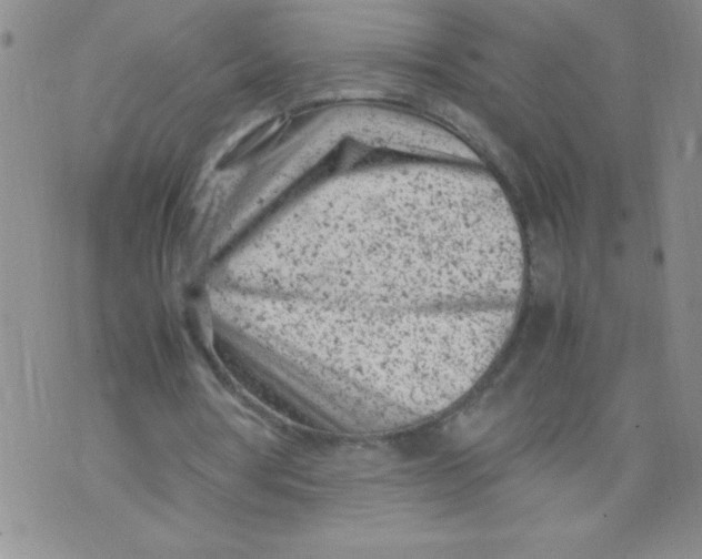 X0000072550386200608041653