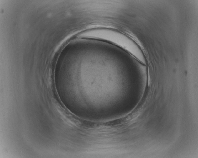 X0000072550387200608041653