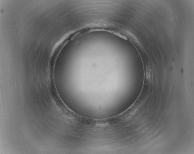 X0000072550388200608041653