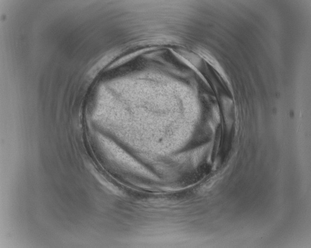 X0000072550389200608041653