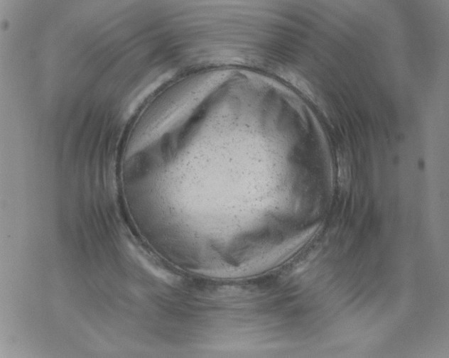 X0000072550390200608041653