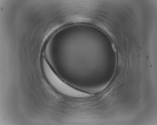 X0000072550391200608041653