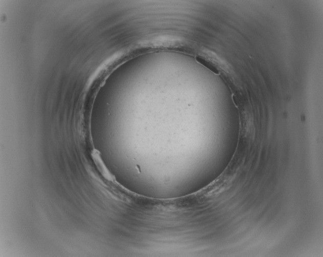 X0000072550392200608041653