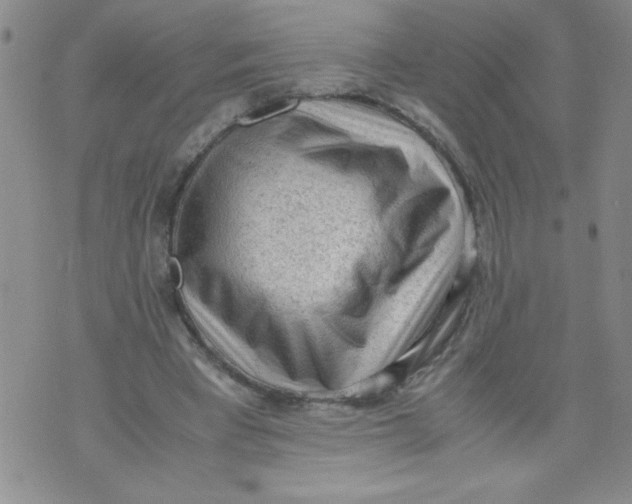 X0000072550393200608041653