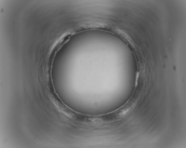 X0000072550395200608041653