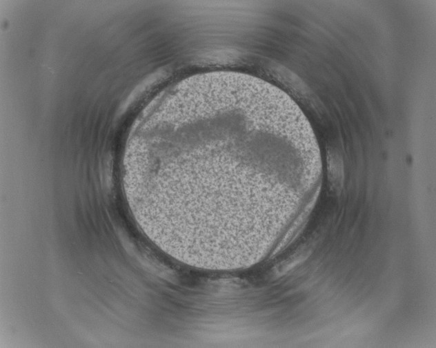 X0000072550396200608041653