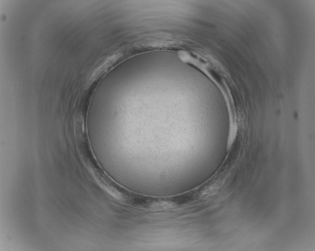 X0000072550397200608041653