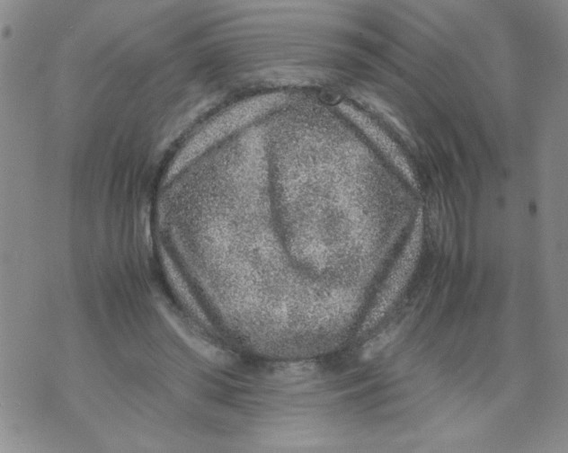 X0000072550398200608041653