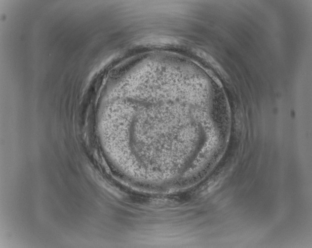 X0000072550399200608041653