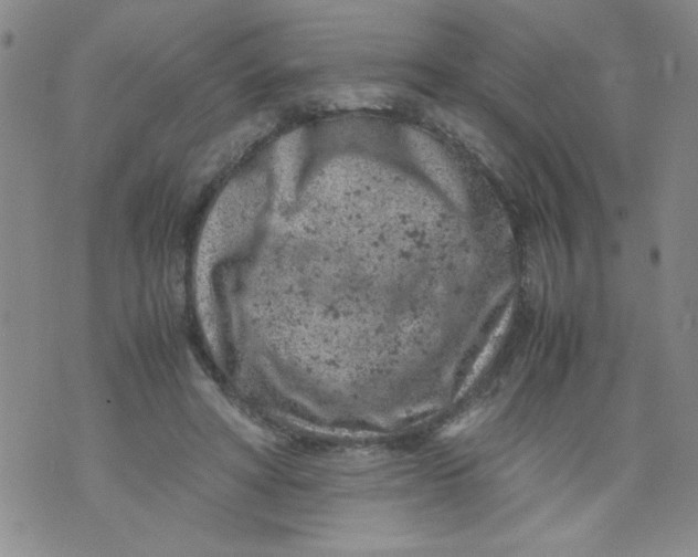 X0000072550402200608041653