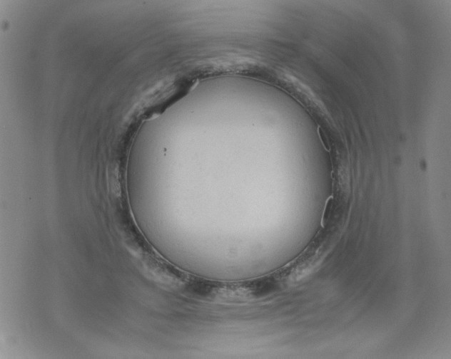 X0000072550403200608041653