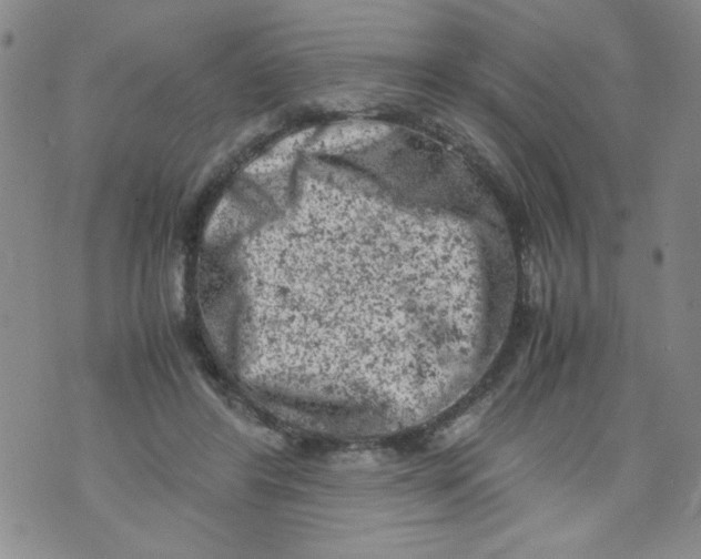 X0000072550404200608041653