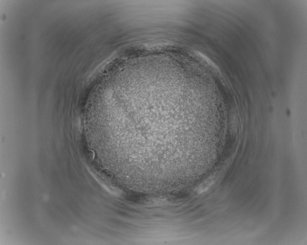 X0000072550405200608041653