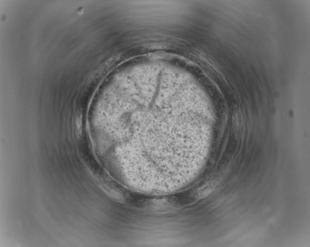 X0000072550406200608041653