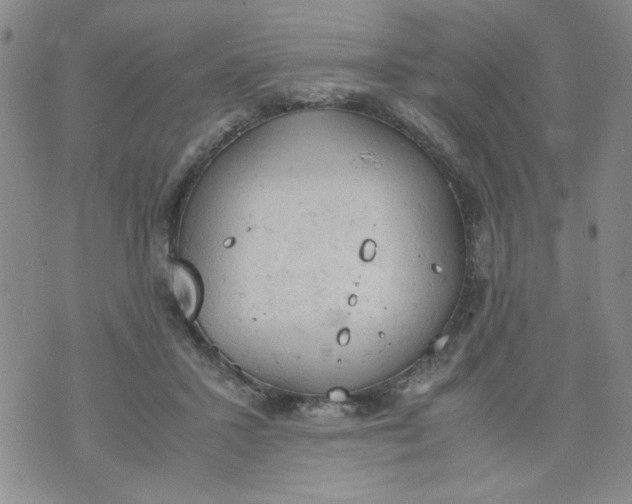 X0000072550407200608041653