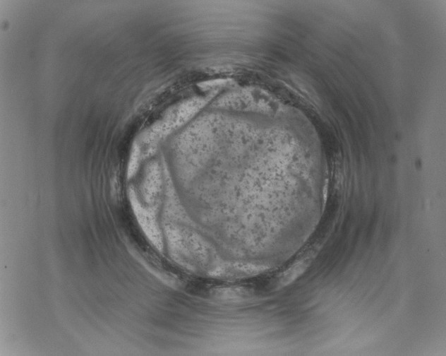 X0000072550408200608041653