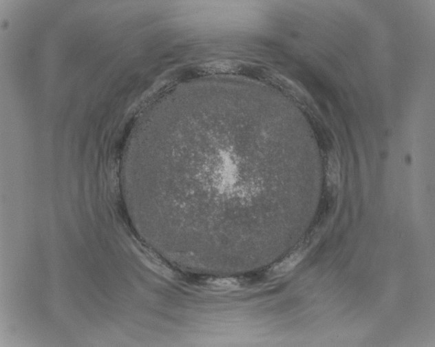 X0000072550409200608041653