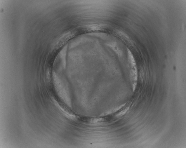 X0000072550410200608041653