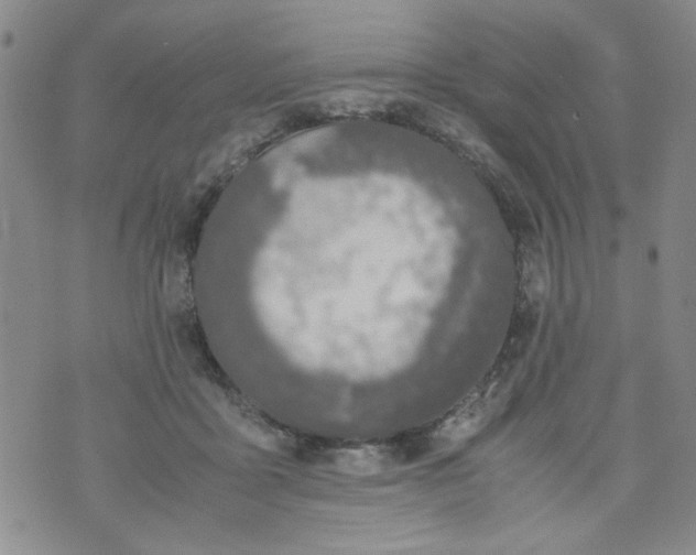 X0000072550411200608041653