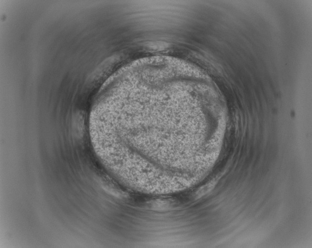 X0000072550412200608041653