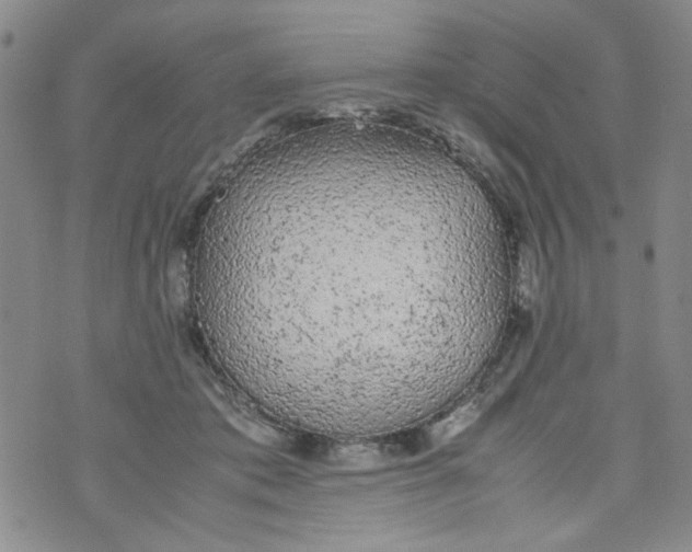 X0000072550413200608041653