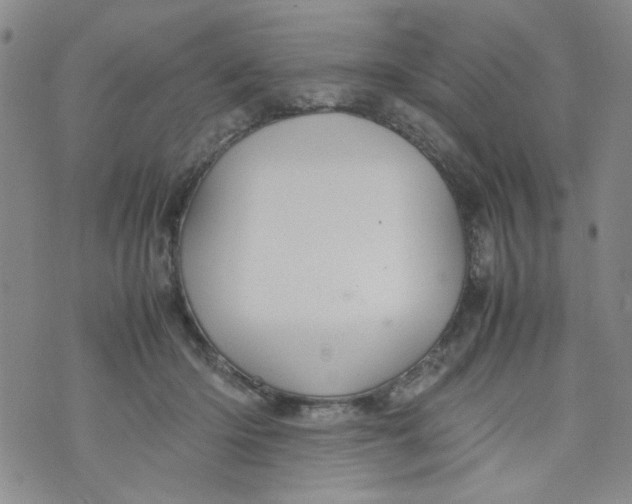 X0000072550414200608041653