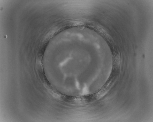 X0000072550415200608041653