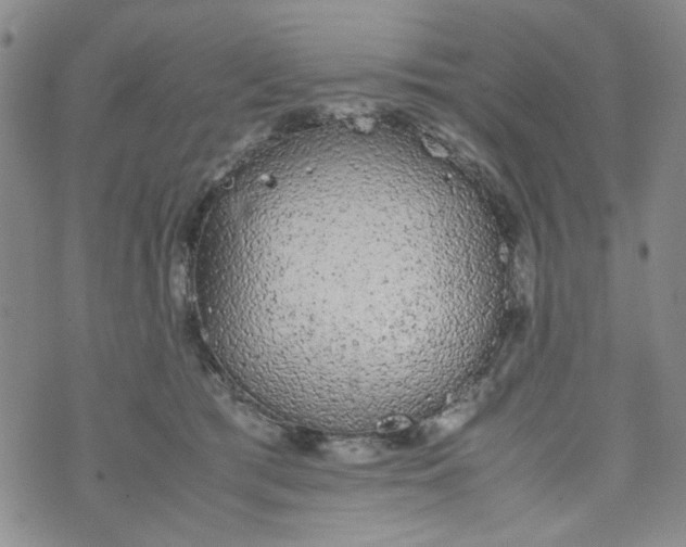 X0000072550417200608041653