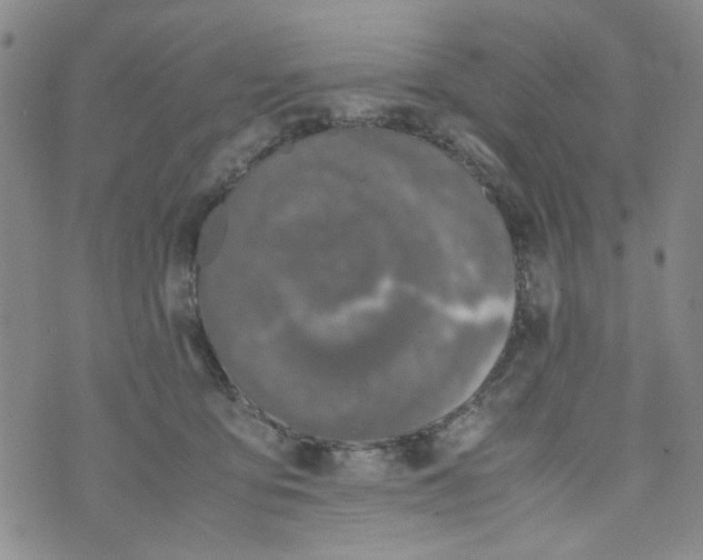 X0000072550419200608041653