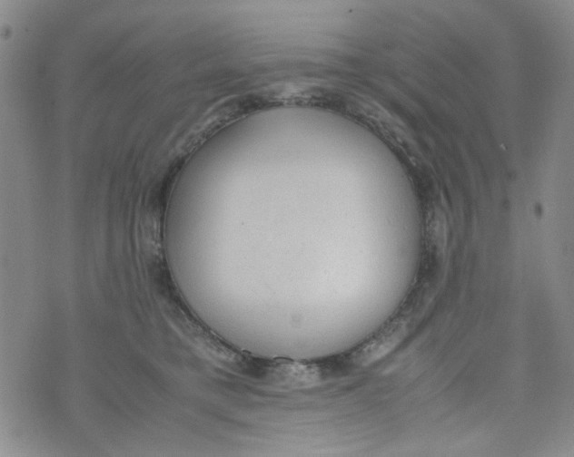 X0000072550421200608041653