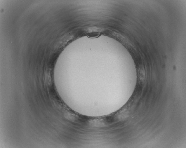 X0000072550422200608041653