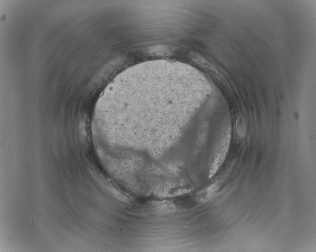 X0000072550424200608041653