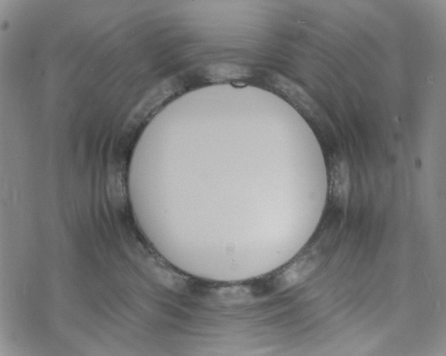 X0000072550426200608041653