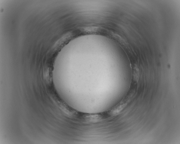 X0000072550428200608041652