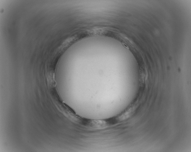 X0000072550429200608041652