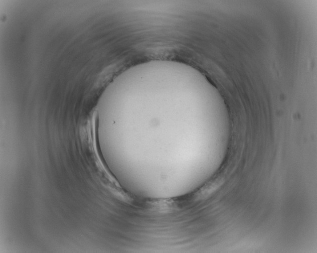 X0000072550432200608041652