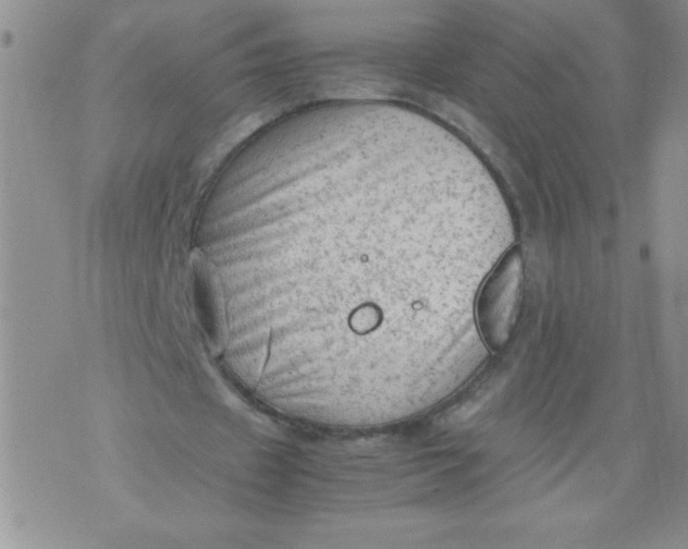 X0000072550433200608041652