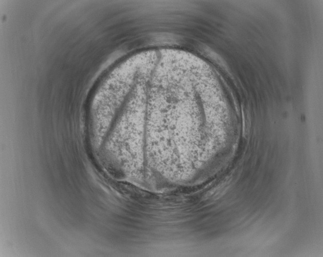 X0000072550435200608041652