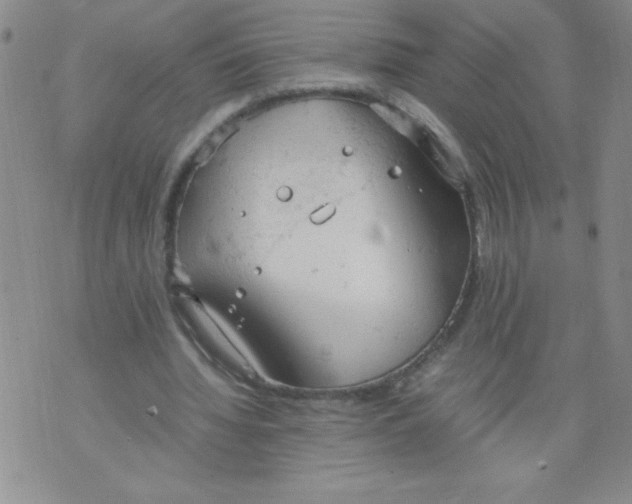 X0000072550436200608041652