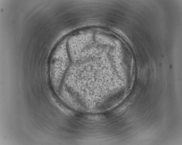 X0000072550439200608041652