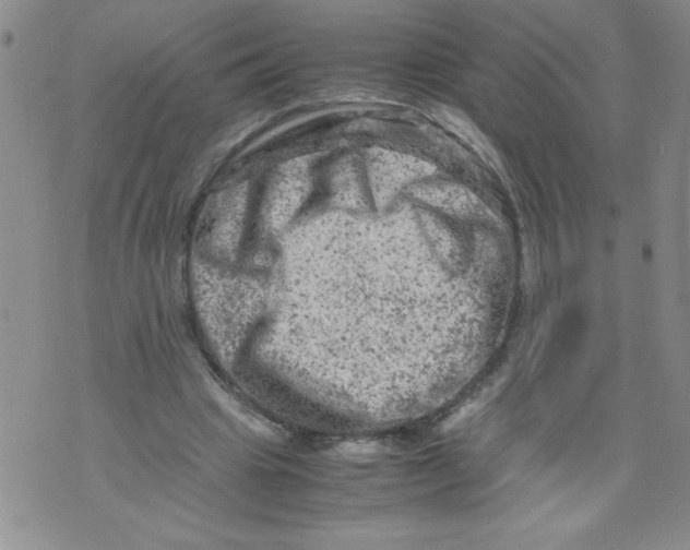 X0000072550441200608041652