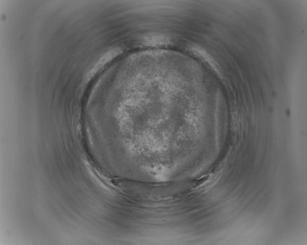 X0000072550443200608041652