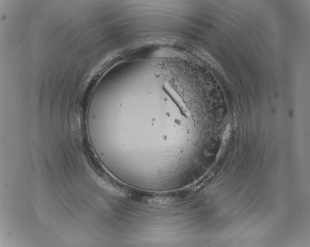 X0000072550444200608041652