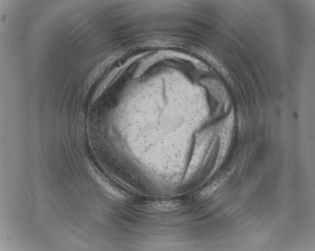 X0000072550445200608041652