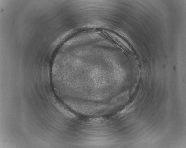 X0000072550446200608041652