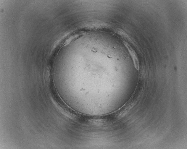 X0000072550448200608041652