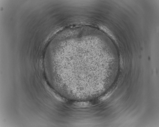 X0000072550449200608041652