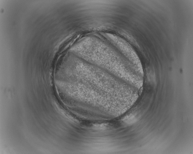 X0000072550450200608041652