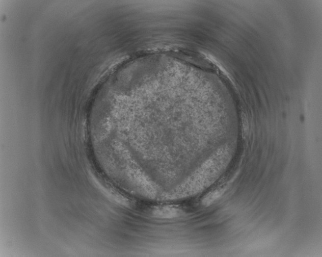 X0000072550451200608041652