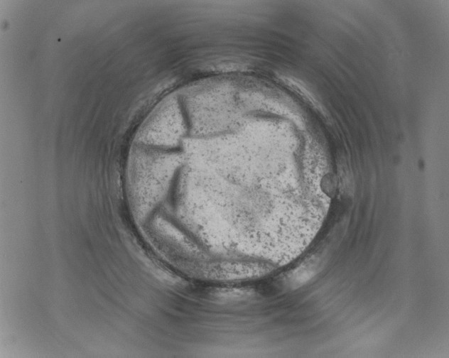 X0000072550453200608041652